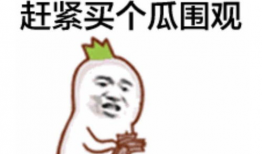 吃瓜群众表情包的人气