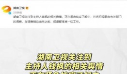 娱乐吃瓜写字,揭秘明星幕后故事